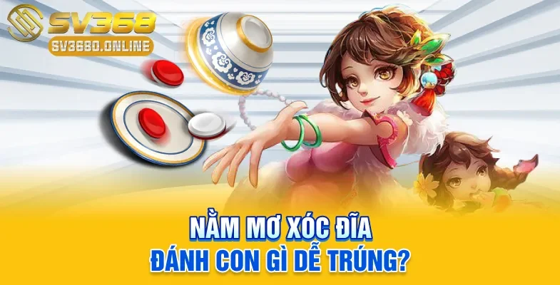 Mơ Xóc Đĩa Đánh Con Gì Trúng? Giải Mã Ý Nghĩa Và Luận Số 3 Nằm mơ Xóc Đĩa đánh con gì dễ trúng?